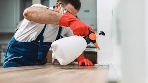 Best Residential Pest Control  in Chandler, IN